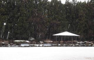 雪.jpg